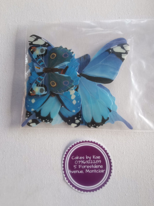 8 blue butterflies